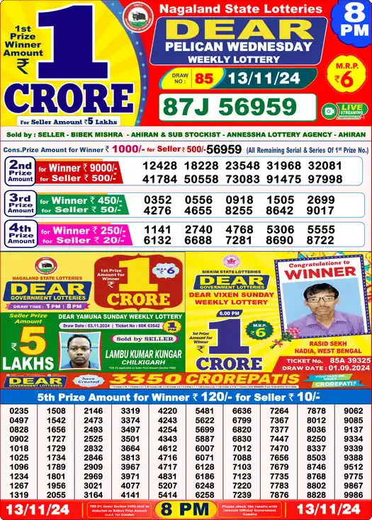 Lottery Sambad 13.11.24 Dear Lottery 8 PM November 13, 2024